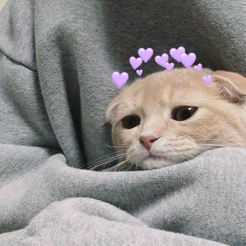 สมาชิกหมายเลข 5464856