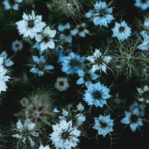 สมาชิกหมายเลข 5465166