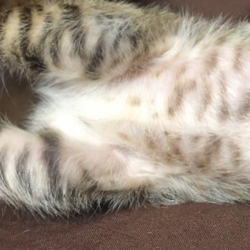 สมาชิกหมายเลข 5685740