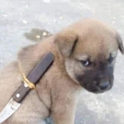 สมาชิกหมายเลข 7338451