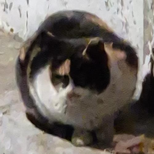 สมาชิกหมายเลข 8206756