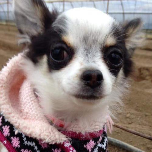 สมาชิกหมายเลข 3030431