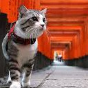 สมาชิกหมายเลข 987006