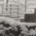 สมาชิกหมายเลข 2887318