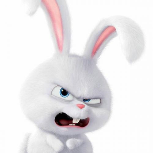 สมาชิกหมายเลข 5061631