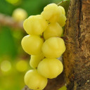 สมาชิกหมายเลข 3682405