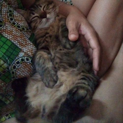 สมาชิกหมายเลข 5465562