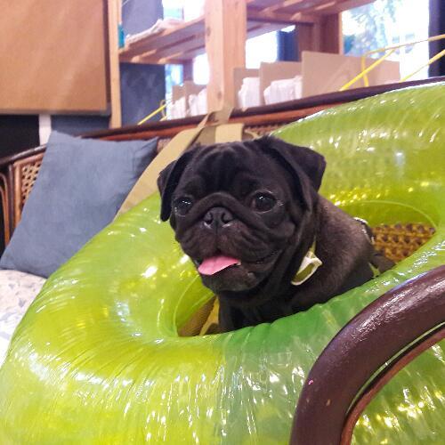 สมาชิกหมายเลข 5465666