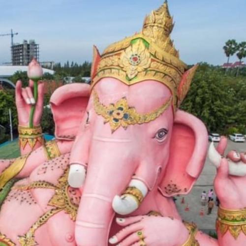 สมาชิกหมายเลข 5990227