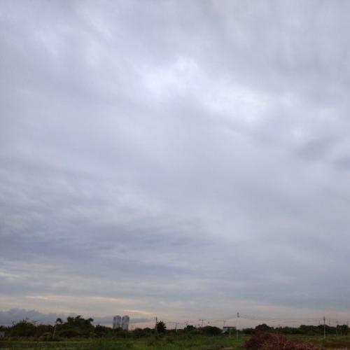 สมาชิกหมายเลข 5990620