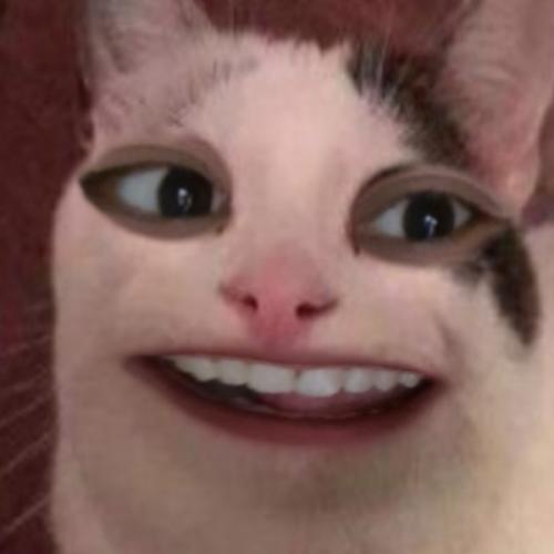 สมาชิกหมายเลข 5265896