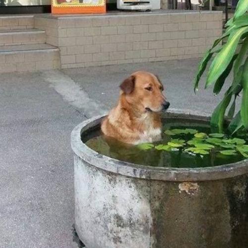 สมาชิกหมายเลข 6601016