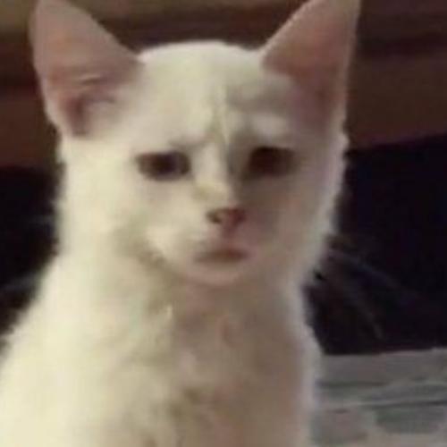 สมาชิกหมายเลข 6052558