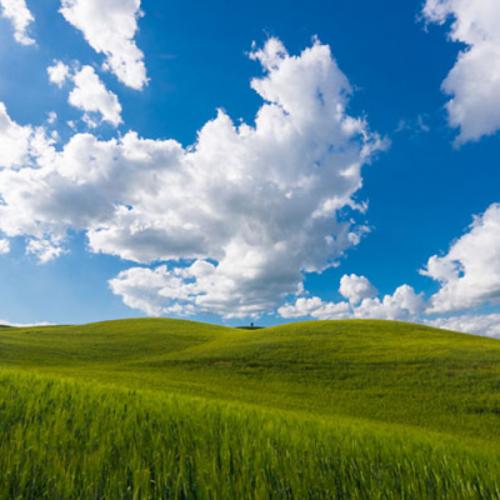 สมาชิกหมายเลข 7338785