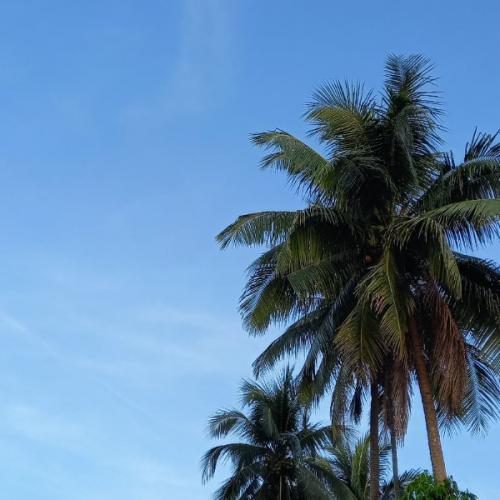 สมาชิกหมายเลข 8207608