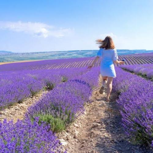 สมาชิกหมายเลข 8611085