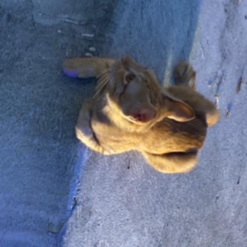 สมาชิกหมายเลข 9215504