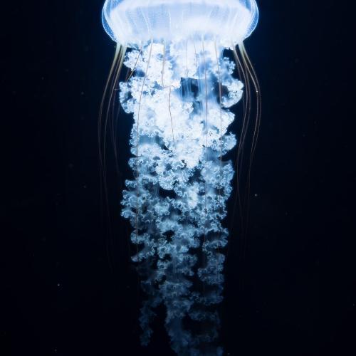 สมาชิกหมายเลข 9216574