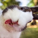 สมาชิกหมายเลข 1205513