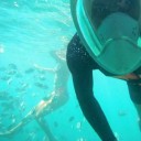 สมาชิกหมายเลข 1958132