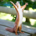 สมาชิกหมายเลข 3864469