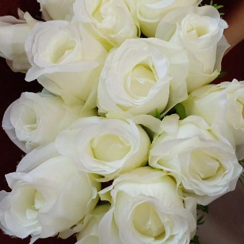 สมาชิกหมายเลข 3329003