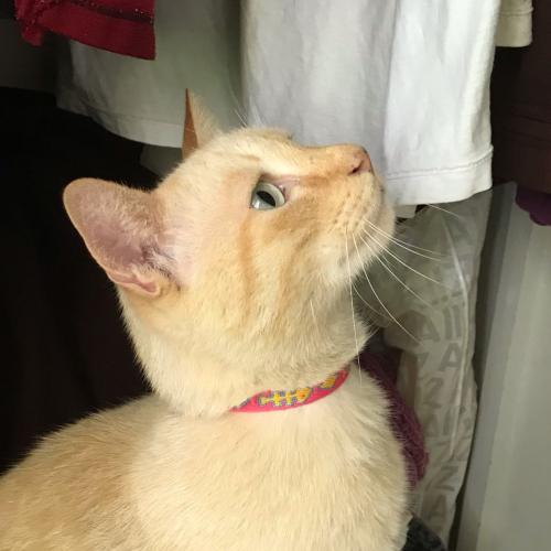 สมาชิกหมายเลข 1182546