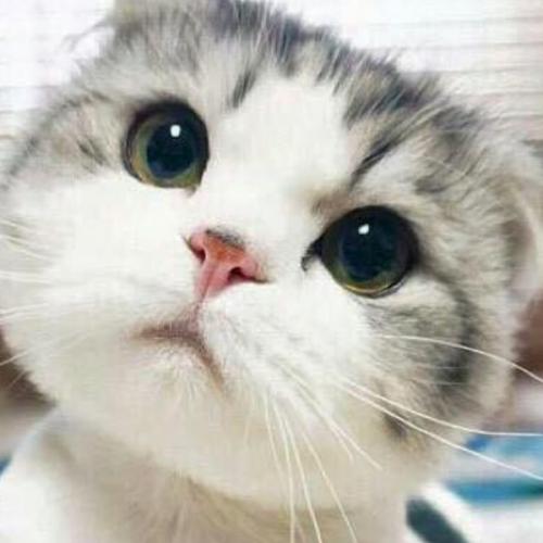 สมาชิกหมายเลข 5990991