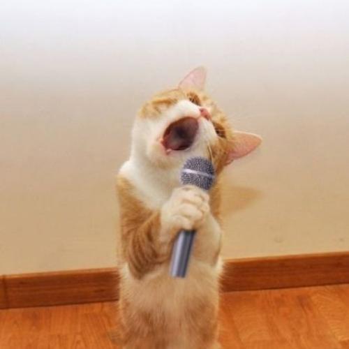 สมาชิกหมายเลข 6601856