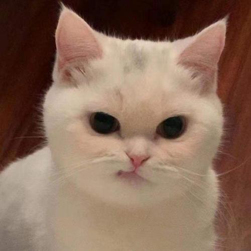 สมาชิกหมายเลข 6602184