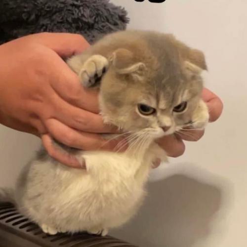 สมาชิกหมายเลข 7339677