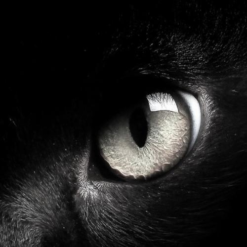 สมาชิกหมายเลข 1739737