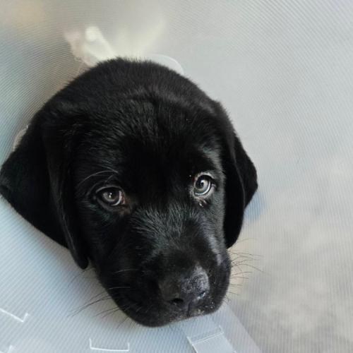 โอบฉันไว้ในอ้อมกอด