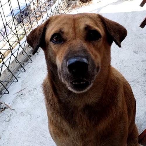 สมาชิกหมายเลข 5261531