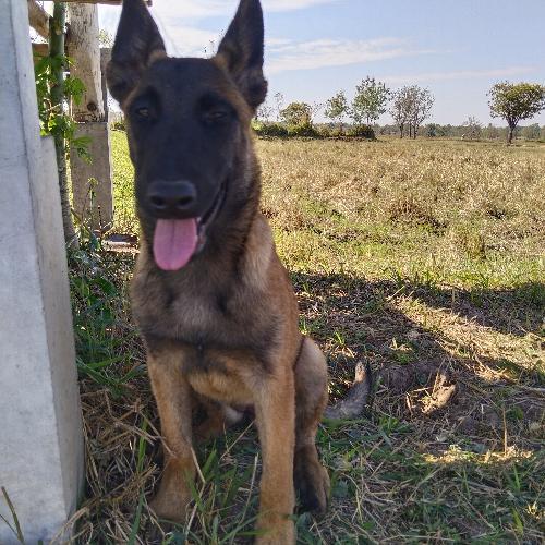 สมาชิกหมายเลข 8605101