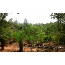 สมาชิกหมายเลข 3418520