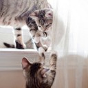 สมาชิกหมายเลข 3513975