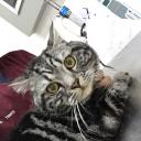 สมาชิกหมายเลข 962924