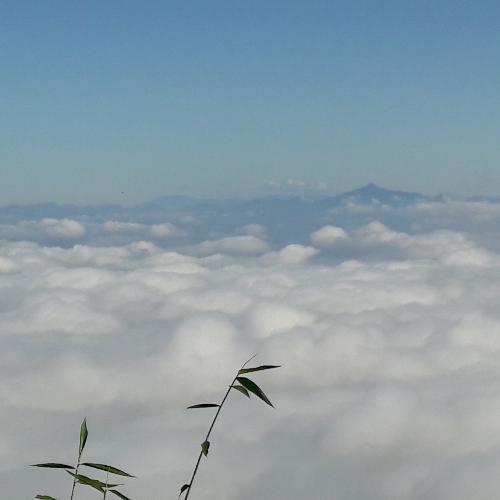 สมาชิกหมายเลข 4704115