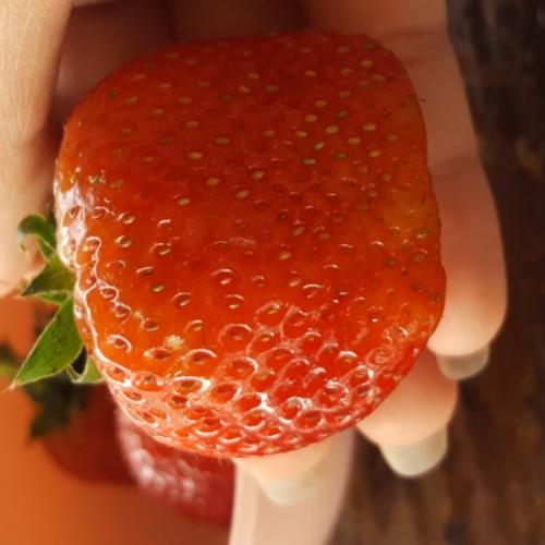 สมาชิกหมายเลข 4854340