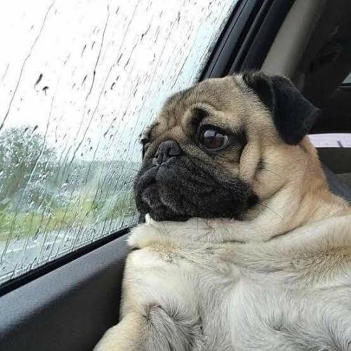 สมาชิกหมายเลข 5065574