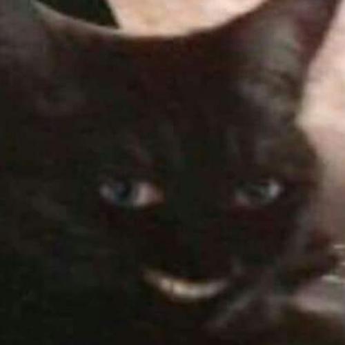 สมาชิกหมายเลข 5466343