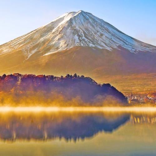 สมาชิกหมายเลข 5990082