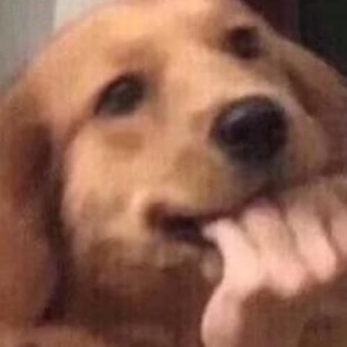 สมาชิกหมายเลข 5991608