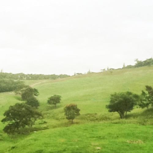 สมาชิกหมายเลข 6372572