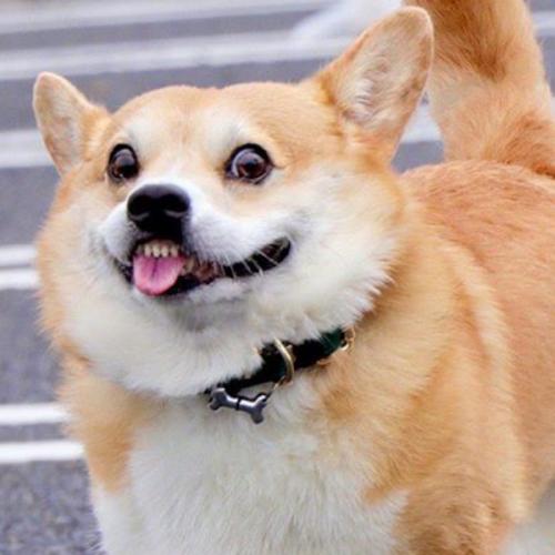 สมาชิกหมายเลข 5022653