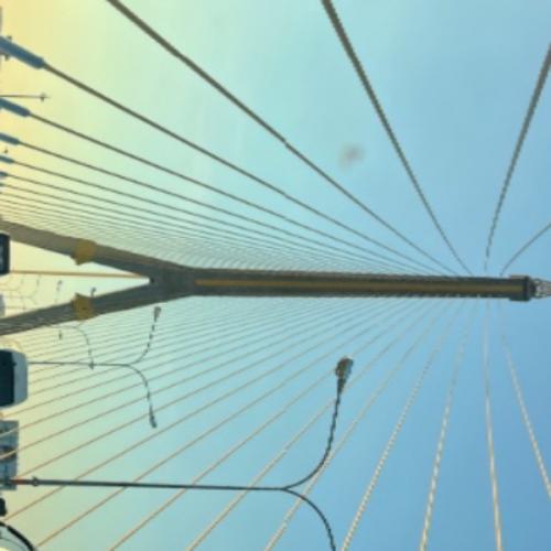 สมาชิกหมายเลข 7038766