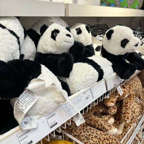 สมาชิกหมายเลข 6990450