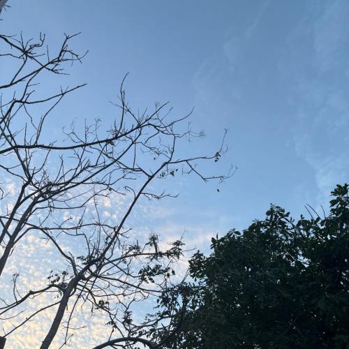 สมาชิกหมายเลข 8128942