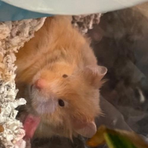 สมาชิกหมายเลข 3989855